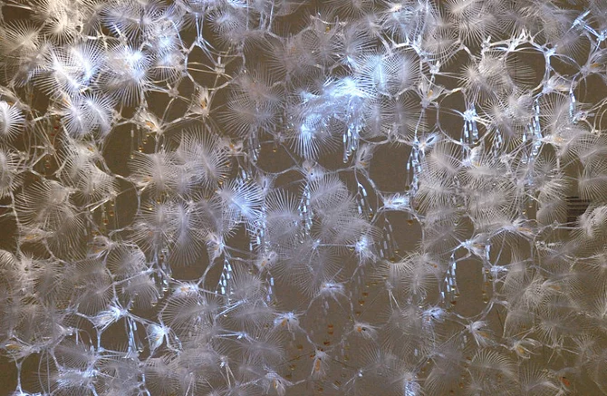 Cloud Brocade by Philip Beesley Arhitect Inc.—http://philipbeesleyarchitect.com/sculptures/1114-1214_Cloud-Brocade/index.php 